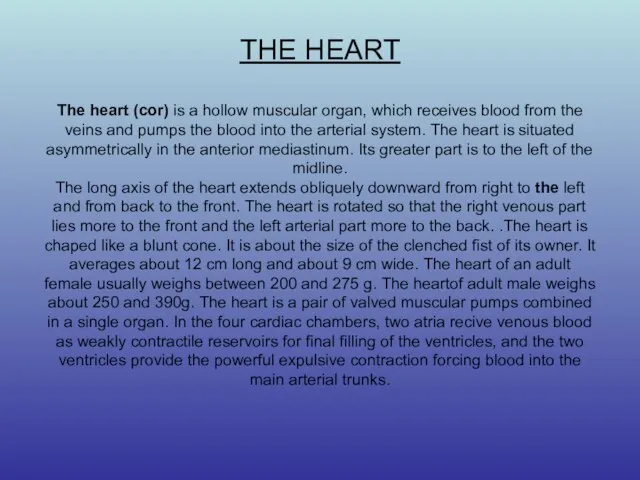 THE HEART The heart (cor) is a hollow muscular organ, which receives