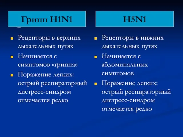 Грипп H1N1 H5N1 Рецепторы в верхних дыхательных путях Начинается с симптомов «гриппа»