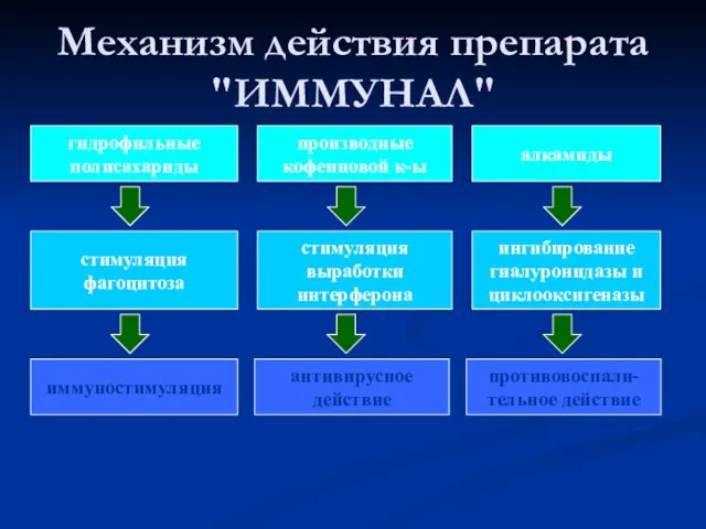 гидрофильные полисахариды производные кофеиновой к-ы алкамиды стимуляция фагоцитоза иммуностимуляция стимуляция выработки интерферона