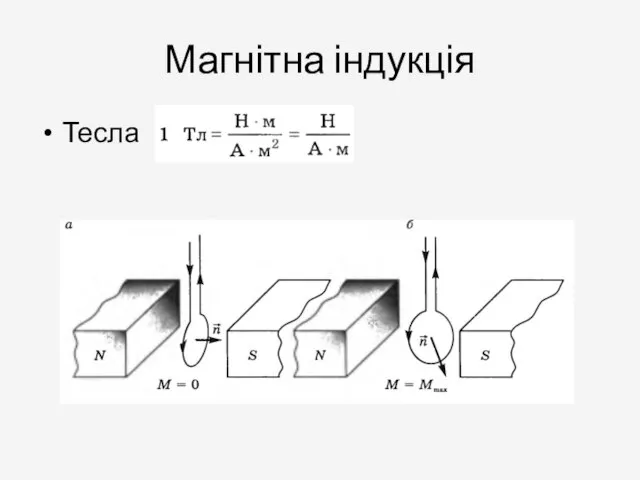 Магнітна індукція Тесла