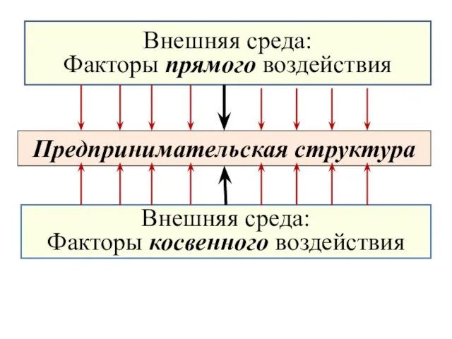 Внешняя среда: факторы прямого воздействия: Предпринимательская структура Внешняя среда: Факторы прямого воздействия