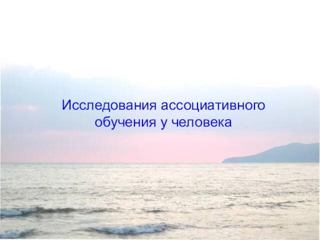 Исследования ассоциативного обучения у человека