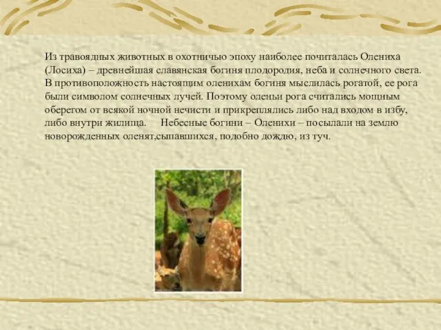 Из травоядных животных в охотничью эпоху наиболее почиталась Олениха(Лосиха) – древнейшая славянская