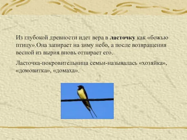 Из глубокой древности идет вера в ласточку как «божью птицу».Она запирает на