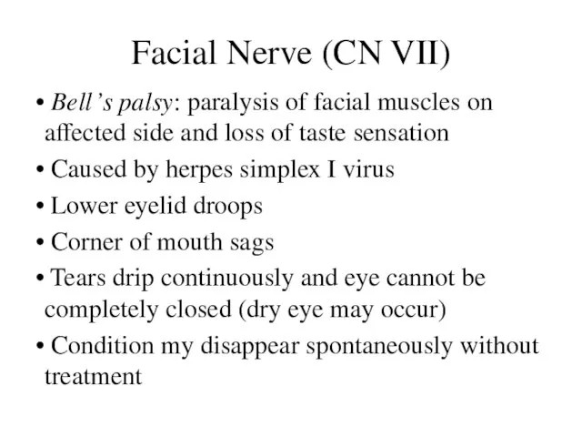 Facial Nerve (CN VII) Bell’s palsy: paralysis of facial muscles on affected