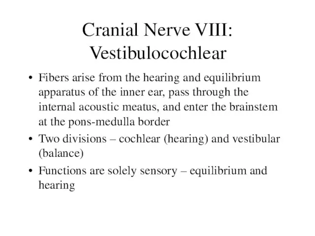 Cranial Nerve VIII: Vestibulocochlear Fibers arise from the hearing and equilibrium apparatus