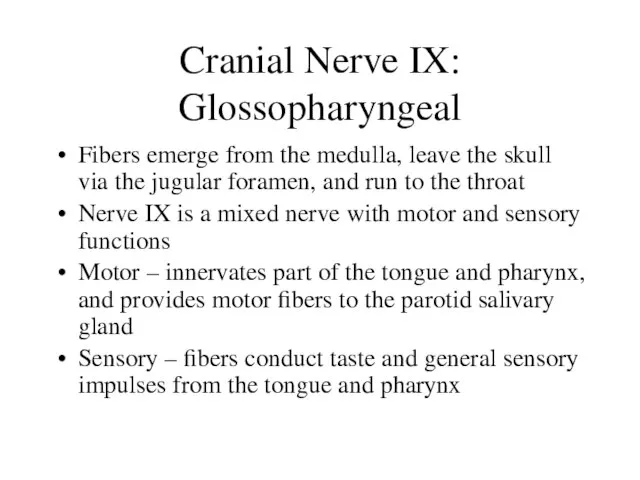 Cranial Nerve IX: Glossopharyngeal Fibers emerge from the medulla, leave the skull