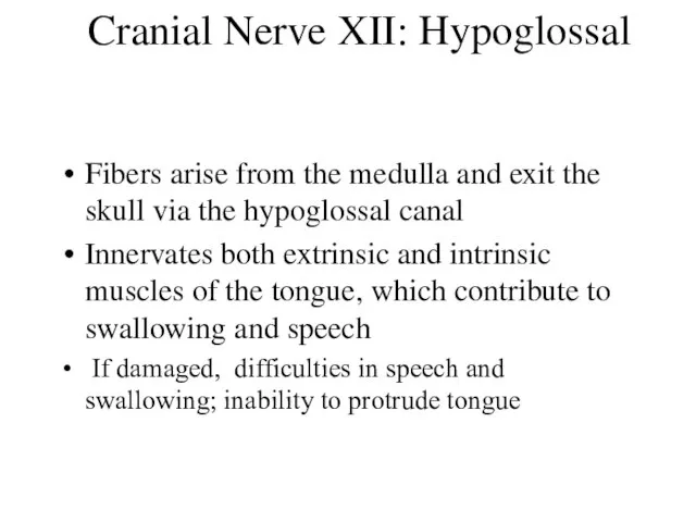 Cranial Nerve XII: Hypoglossal Fibers arise from the medulla and exit the