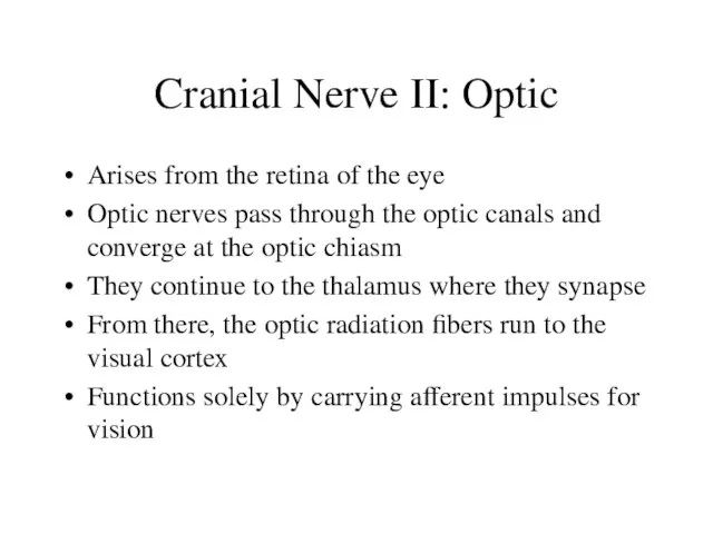 Cranial Nerve II: Optic Arises from the retina of the eye Optic