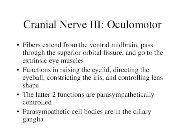 Cranial Nerve III: Oculomotor Fibers extend from the ventral midbrain, pass through