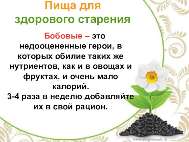 Пища для здорового старения Бобовые – это недооцененные герои, в которых обилие