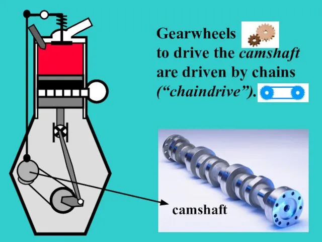 S Gearwheels to drive the camshaft are driven by chains (“chaindrive”). camshaft