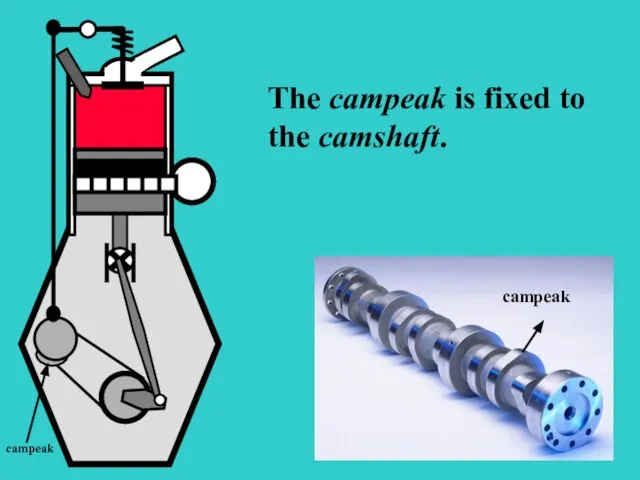 S The campeak is fixed to the camshaft. campeak campeak