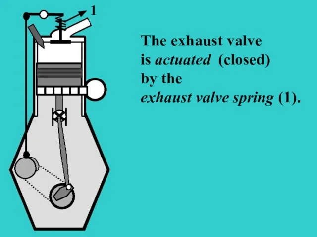 S The exhaust valve is actuated (closed) by the exhaust valve spring (1). 1