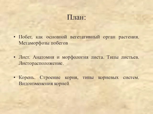 План: Побег, как основной вегетативный орган растения. Метаморфозы побегов Лист. Анатомия и