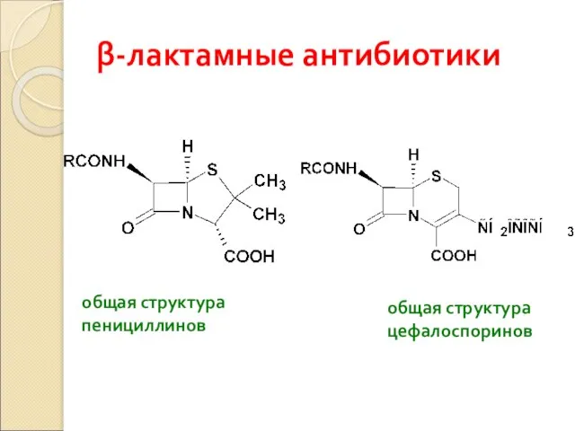 β-лактамные антибиотики общая структура пенициллинов общая структура цефалоспоринов
