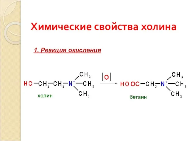 Химические свойства холина 1. Реакция окисления