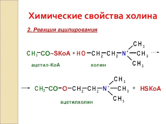 Химические свойства холина 2. Реакция ацилирования