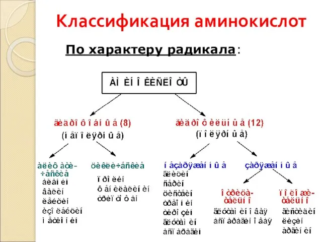 Классификация аминокислот По характеру радикала: