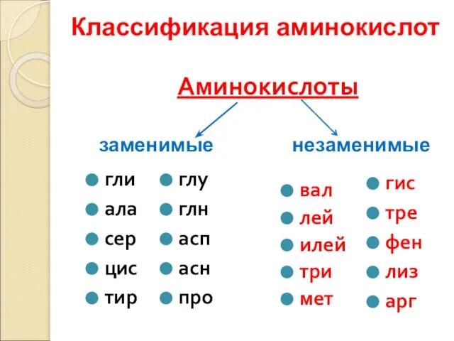 Аминокислоты гли ала сер цис тир вал лей илей три мет заменимые