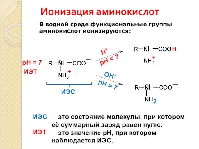 Ионизация аминокислот В водной среде функциональные группы аминокислот ионизируются: рН = 7