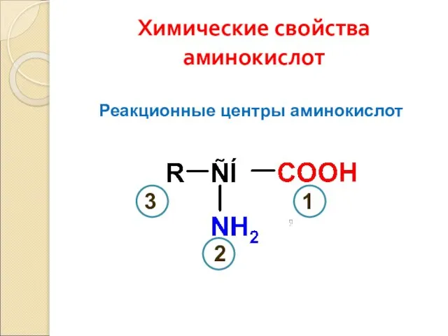 Химические свойства аминокислот Реакционные центры аминокислот 1 2 3