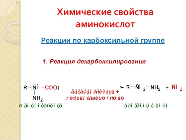 Химические свойства аминокислот Реакции по карбоксильной группе 1. Реакция декарбоксилирования