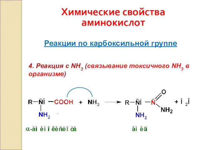 Химические свойства аминокислот Реакции по карбоксильной группе 4. Реакция с NH3 (связывание токсичного NH3 в организме)