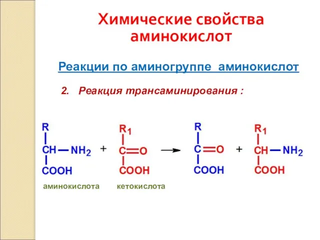 Химические свойства аминокислот Реакции по аминогруппе аминокислот 2. Реакция трансаминирования : аминокислота кетокислота