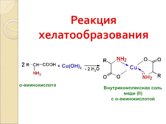 Реакция хелатообразования α-аминокислота Внутрикомплексная соль меди (II) с α-аминокислотой