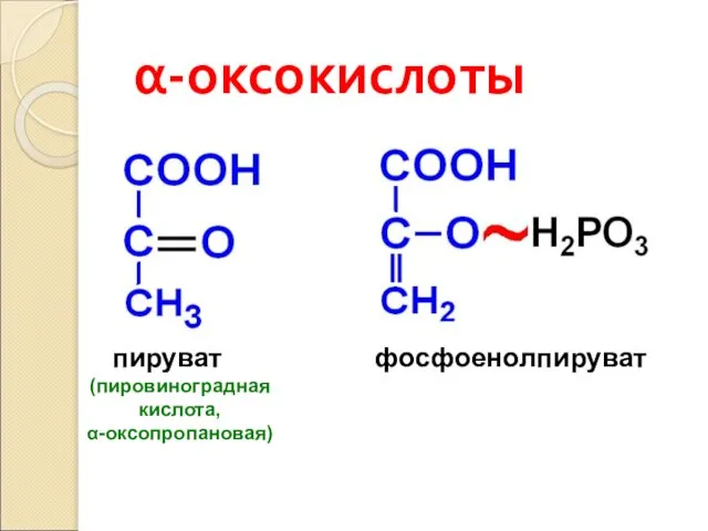 α-оксокислоты пируват фосфоенолпируват (пировиноградная кислота, α-оксопропановая)