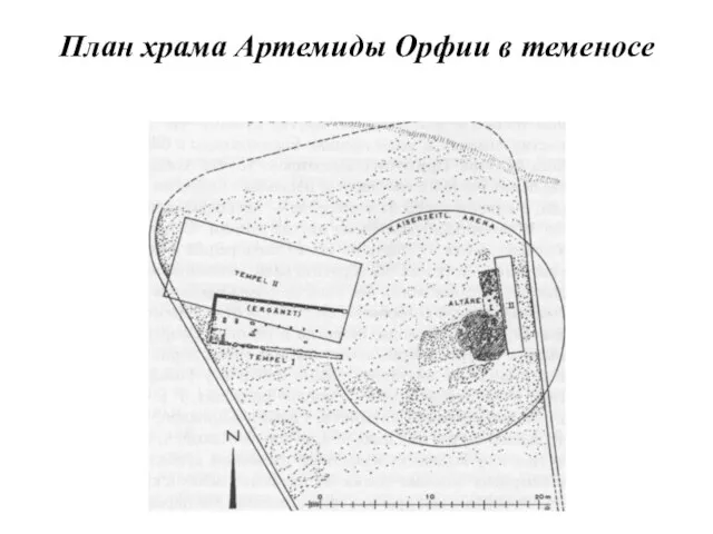 План храма Артемиды Орфии в теменосе