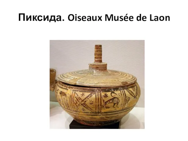 Пиксида. Oiseaux Musée de Laon