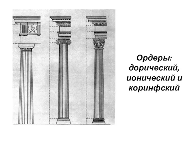 Ордеры: дорический, ионический и коринфский