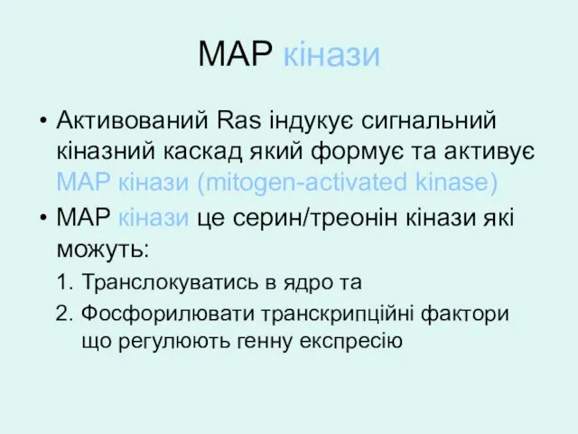 MAP кінази Активований Ras індукує сигнальний кіназний каскад який формує та активує