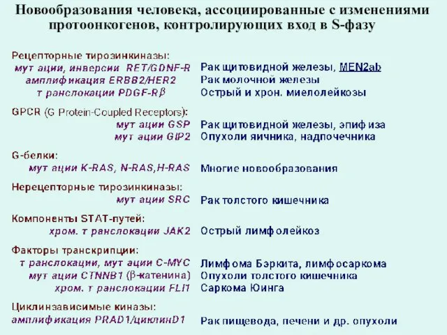 Новообразования человека, ассоциированные с изменениями протоонкогенов, контролирующих вход в S-фазу