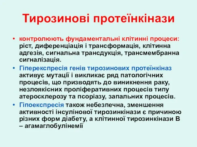 Тирозинові протеїнкінази контролюють фундаментальні клітинні процеси: ріст, диференціація і трансформація, клітинна адгезія,