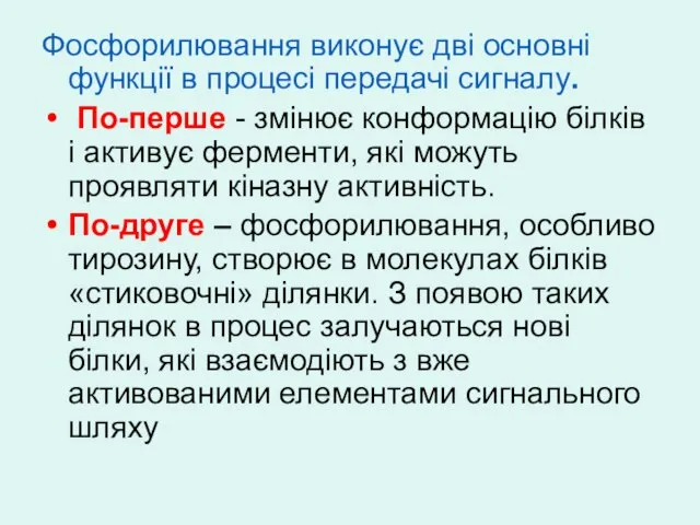 Фосфорилювання виконує дві основні функції в процесі передачі сигналу. По-перше - змінює