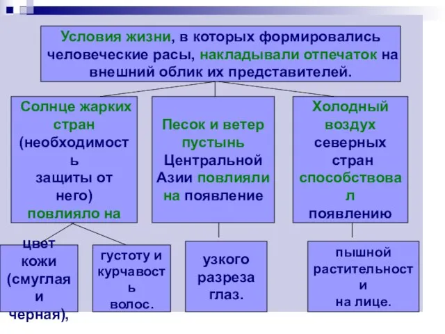 Условия жизни, в которых формировались человеческие расы, накладывали отпечаток на внешний облик