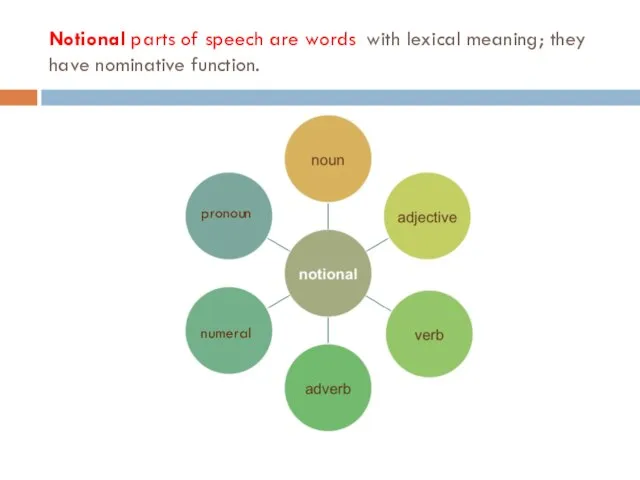 Notional parts of speech are words with lexical meaning; they have nominative function. pronoun numeral