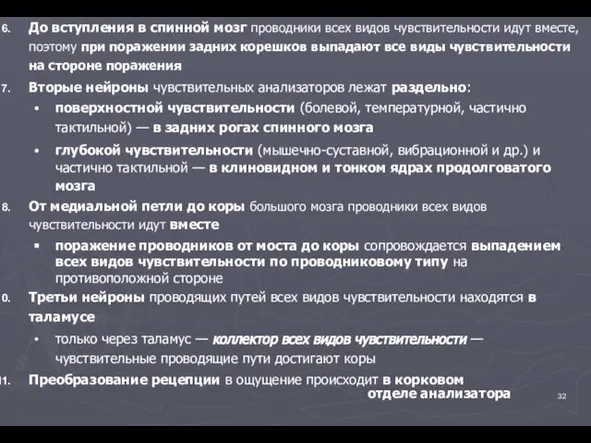 До вступления в спинной мозг проводники всех видов чувствительности идут вместе, поэтому