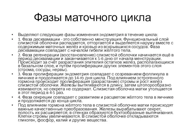 Фазы маточного цикла Выделяют следующие фазы изменения эндометрия в течение цикла: 1.