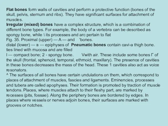 Flat bones form walls of cavi­ties and perform a protective func­tion (bones