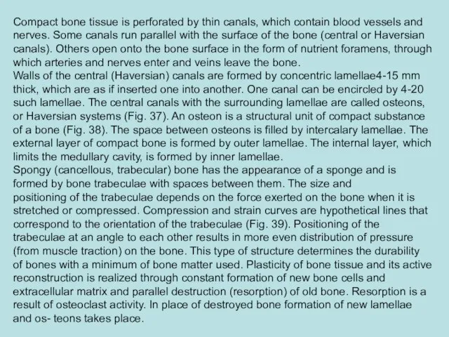 Compact bone tissue is perforated by thin canals, which contain blood vessels