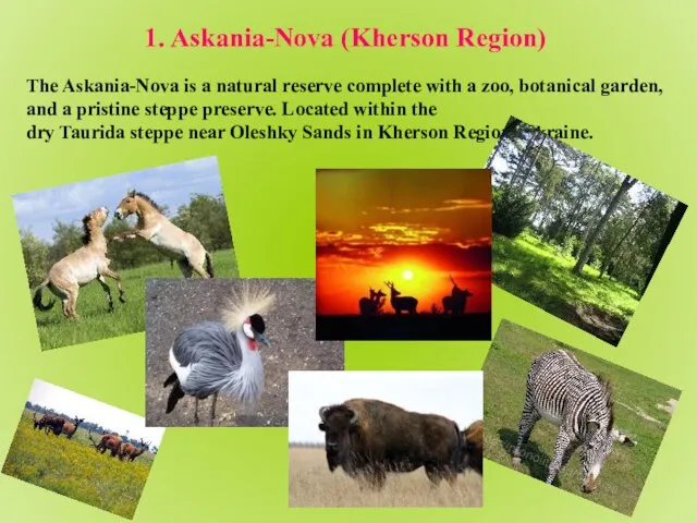 The Askania-Nova is a natural reserve complete with a zoo, botanical garden,