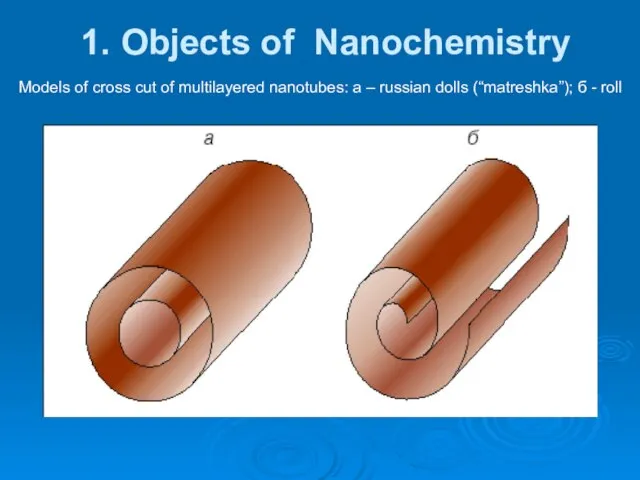 1. Objects of Nanochemistry Models of cross cut of multilayered nanotubes: a