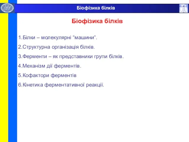 Біофізика білків Білки – молекулярні “машини”. Структурна організація білків. Ферменти – як