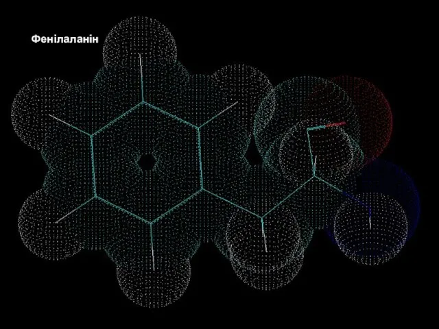 Білки – молекулярні конструкції Амінокислоти Фенілаланін