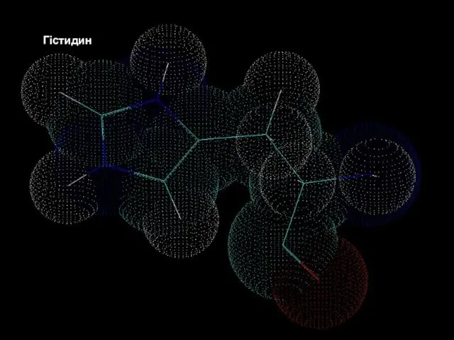 Білки – молекулярні конструкції Амінокислоти Гістидин