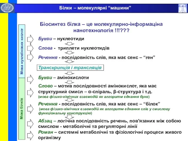 Білки – молекулярні “машини”